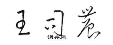 駱恆光王司農草書個性簽名怎么寫