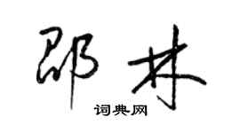 梁錦英邵林草書個性簽名怎么寫