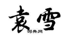 胡問遂袁雪行書個性簽名怎么寫