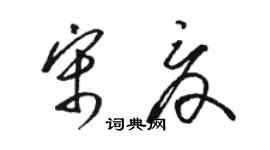 駱恆光宋夏草書個性簽名怎么寫