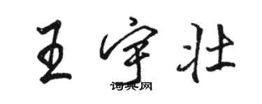 駱恆光王宇壯行書個性簽名怎么寫