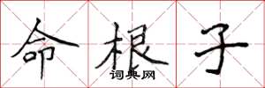 侯登峰命根子楷書怎么寫