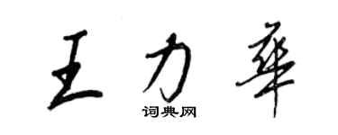 王正良王力華行書個性簽名怎么寫