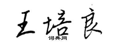 王正良王培良行書個性簽名怎么寫