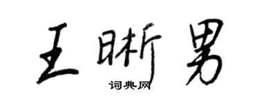 王正良王晰男行書個性簽名怎么寫