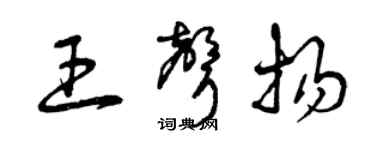 曾慶福王聲揚草書個性簽名怎么寫