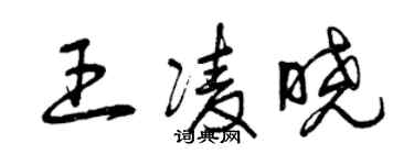 曾慶福王凌曉草書個性簽名怎么寫