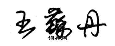 朱錫榮王蘇丹草書個性簽名怎么寫