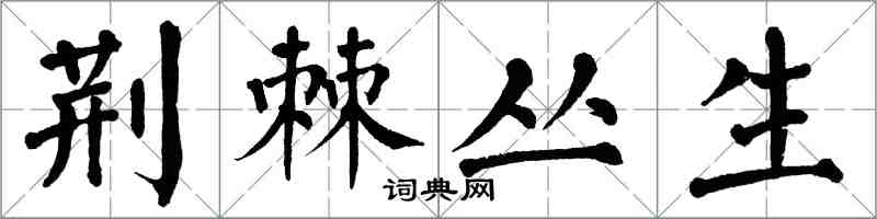 翁闓運荊棘叢生楷書怎么寫