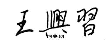 王正良王興習行書個性簽名怎么寫