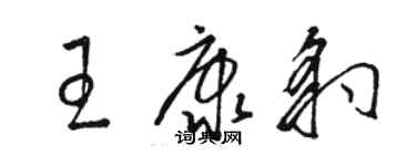 駱恆光王康豹草書個性簽名怎么寫