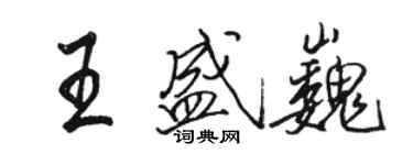 駱恆光王盛巍行書個性簽名怎么寫