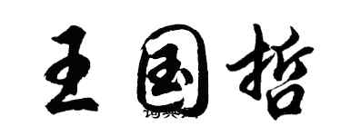 胡問遂王國哲行書個性簽名怎么寫