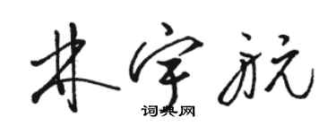 駱恆光林宇航草書個性簽名怎么寫