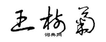 曾慶福王樹菊草書個性簽名怎么寫