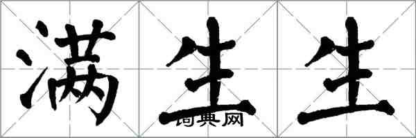 翁闓運滿生生楷書怎么寫