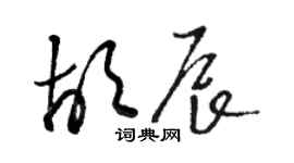 駱恆光胡辰草書個性簽名怎么寫