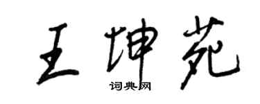 王正良王坤苑行書個性簽名怎么寫