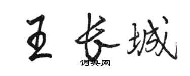 駱恆光王長城行書個性簽名怎么寫