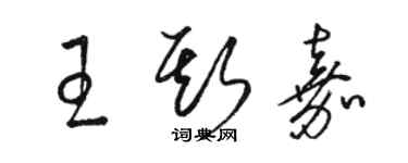 駱恆光王斯嘉草書個性簽名怎么寫