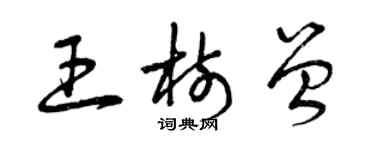 曾慶福王樹曾草書個性簽名怎么寫