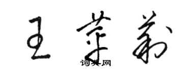 駱恆光王苹莉草書個性簽名怎么寫