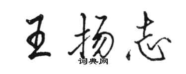 駱恆光王揚志行書個性簽名怎么寫
