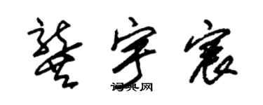 朱錫榮龔宇宸草書個性簽名怎么寫