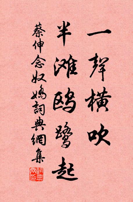 春漲還如天上坐，雪時渾是剡中船 詩詞名句