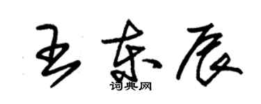 朱錫榮王東辰草書個性簽名怎么寫