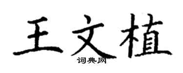 丁謙王文植楷書個性簽名怎么寫