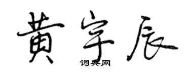 曾慶福黃宇辰行書個性簽名怎么寫