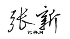駱恆光張新行書個性簽名怎么寫