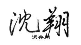 駱恆光沈翔行書個性簽名怎么寫