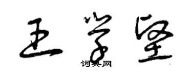 曾慶福王學堅草書個性簽名怎么寫