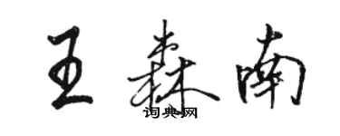 駱恆光王森南行書個性簽名怎么寫