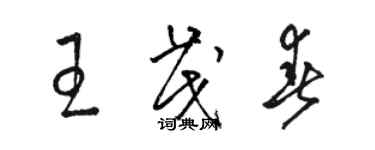 駱恆光王茂春草書個性簽名怎么寫