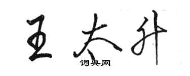 駱恆光王太升行書個性簽名怎么寫