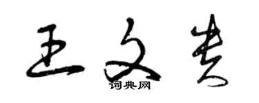 曾慶福王文貴草書個性簽名怎么寫