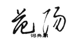 駱恆光范陽草書個性簽名怎么寫