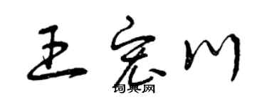 曾慶福王宏川草書個性簽名怎么寫