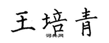何伯昌王培青楷書個性簽名怎么寫