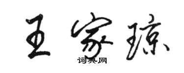 駱恆光王家瓊行書個性簽名怎么寫