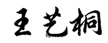 胡問遂王藝桐行書個性簽名怎么寫