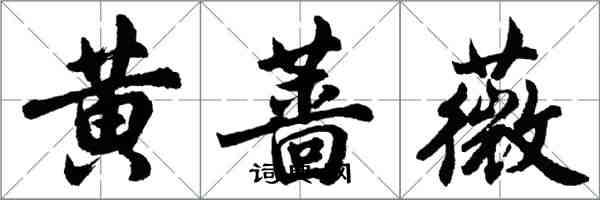 胡問遂黃薔薇行書怎么寫