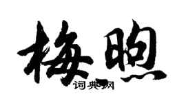 胡問遂梅煦行書個性簽名怎么寫