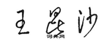 駱恆光王昆沙草書個性簽名怎么寫