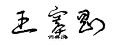 曾慶福王賽剛草書個性簽名怎么寫