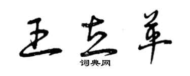 曾慶福王立革草書個性簽名怎么寫