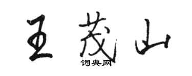 駱恆光王茂山行書個性簽名怎么寫